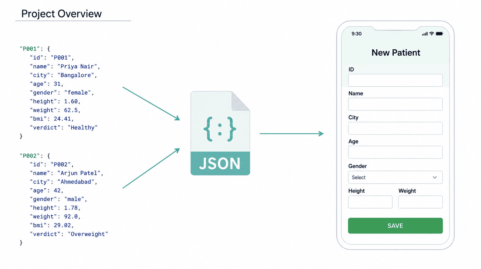 Project Overview